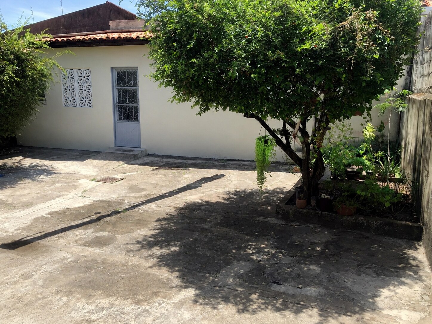 Quintal arborizado e livre de objetos